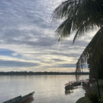 A Sabedoria da Amazônia