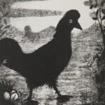 La poule noire: A Galinha Preta